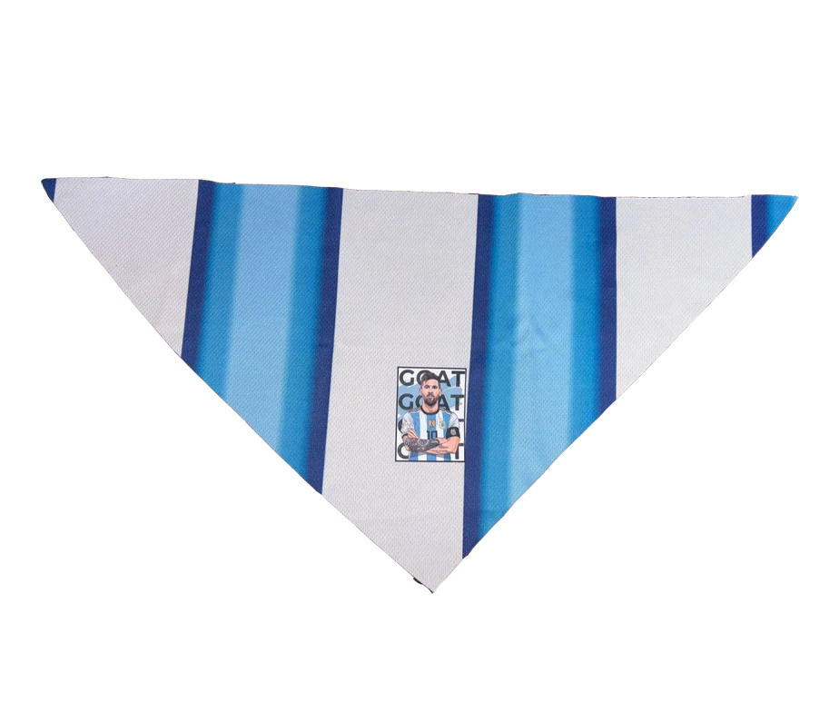 Pañuelo Argentina Argentina Mundial 2026