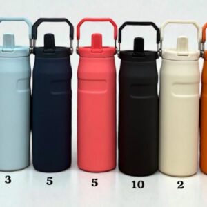 Botella térmica 750 ml con manija · Caja x40