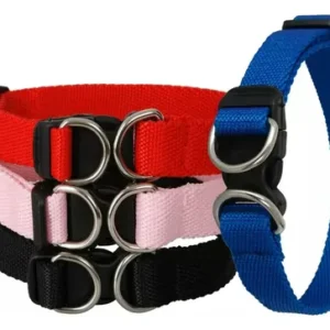 Collar Para Mascotas Regulable Rapido Encastre Madu Surtidos Liso L