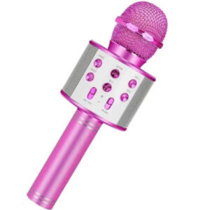 MICROFONO KARAOKE SIN LUZ W-858